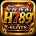 H789 Game