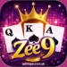 Zee9 Game