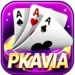 PKAVIA Game
