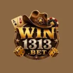Win1313