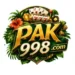 PAK998 Game