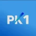 PK1 Game